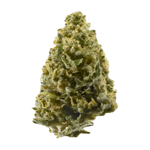 Northern Lights strain